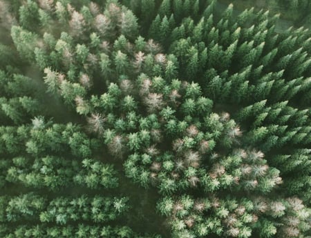 Let og overskuelig timegodkendelse med Power Apps &amp; Power BI